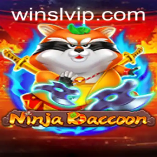 Discovering NinjaRaccoon - The Adventure Awaits